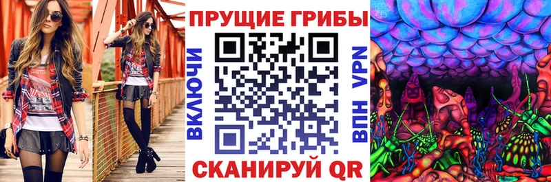 Галлюциногенные грибы Psilocybe  Купить закладки  Ейск 